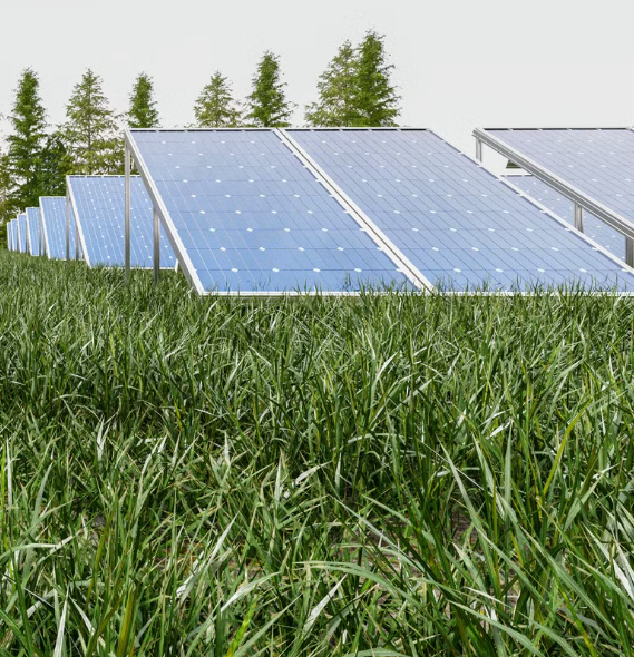 Подробнее о статье Монокристаллические vs поликристаллические панели в 2025 году