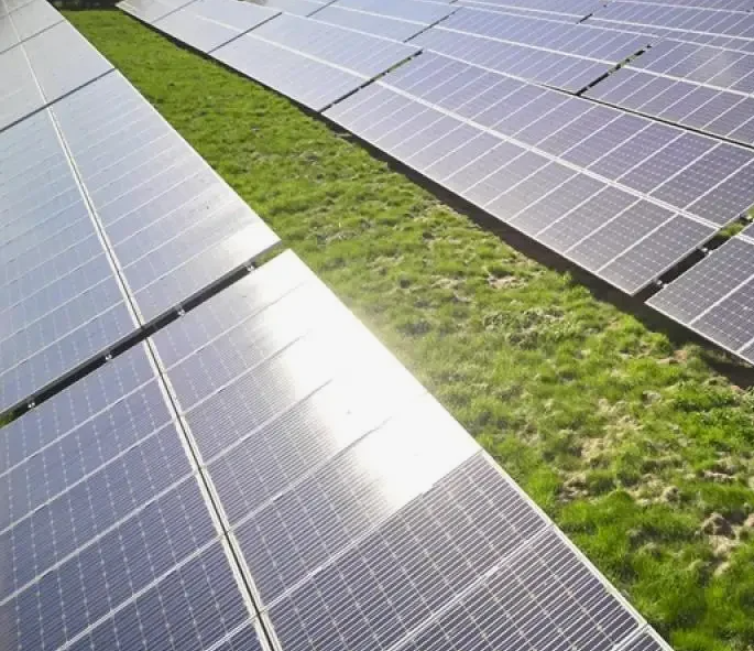 Подробнее о статье Солнечные электростанции и сохранение биоразнообразия